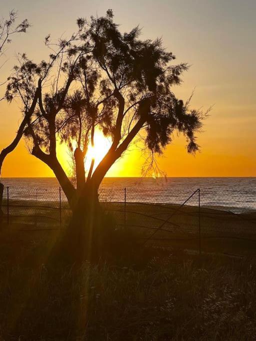 Lambou Beach Sunset Soroni Dış mekan fotoğraf